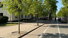 Palangoje atsiėrusi smeguobė