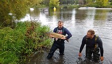 Entuziastingi žvejai savanori&scaron;kai i&scaron; Laukžemių tvenkinio pergabeno &scaron;imtus žuvų į Trinyčių tvenkinį.