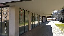 Nuo pneumatinių &scaron;ūvių nukentėjusi odontologijos klinika.