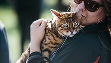 Pasaulinės gyvūnų dienos akimirkos Gargžduose