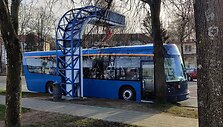 "Dancer" autobusai