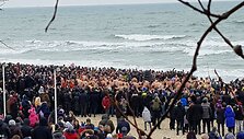 &bdquo;Ruonių&ldquo; maudynės Palangoje