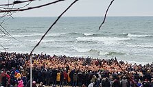 &bdquo;Ruonių&ldquo; maudynės Palangoje