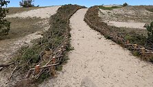 Kur&scaron;ių nerija