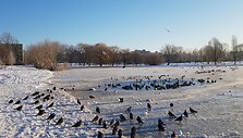 Specialistų teigimu, ledas dar nesaugus.