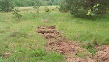 Senovės kur&scaron;ių senkapis.