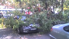 Klaipėdoje medis užvirto ant automobilio.