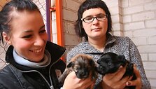 Globoti benamius gyvūnus R.Gineikienei (de&scaron;inėje) padeda keletas savanorių. Viena jų &ndash; aktorė S.&Scaron;akinytė, per pusmetį ji rado namus apie 30 kačių. 