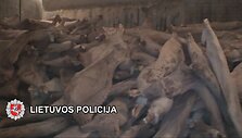Tyrimo duomenimis, importuota mėsa nebuvo tinkama vartoti žmonėms, tačiau ja buvo prekiaujama.