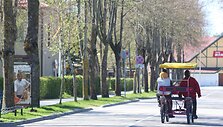 Apsnūdusi &Scaron;ventoji i&scaron; žiemos miego bunda labai i&scaron; lėto