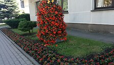 Kurortą puo&scaron;iantys gėlynai.