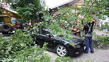 Medis nuvirto ant apynaujo automobilio, kurio vairuotojas tik per stebuklą i&scaron;vengė sužalojimų.