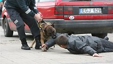 Kauniečių pasitikėjimas policija nuolat auga. Prie&scaron; trejus metus pasitikėjimą pareigūnais rei&scaron;kė tik 43 proc. miestiečių, dabar &scaron;is rodiklis i&scaron;augo iki 69 proc.