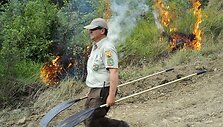 Ispanijos ugniagesiams nepavyksta užgesinti degančių mi&scaron;kų