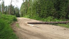 RST imasi papildomų priemonių operatyviai pa&scaron;alinti elektros tiekimo sutrikimus 