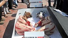 &bdquo;Peta&ldquo; aktyvistai