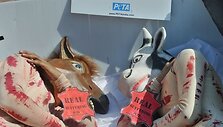 &bdquo;Peta&ldquo; aktyvistai 