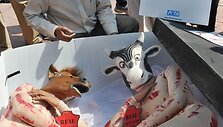&bdquo;Peta&ldquo; aktyvistai 