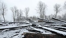 Pirmieji į gaisro vietą atvyko Utenos rajono ugniagesiai