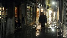 Patvinusi Venecija