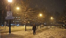 Sniegas ir toliau paralyžiuoja Niujorką
