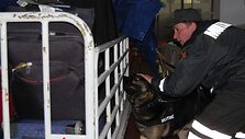 Atvykstančius oro uosto keleivius tikrino 5 muitinės kinologai