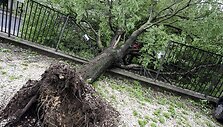 Vengrijoje siaučia pavasarinė audra