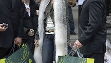 Foto naujienai: Celine Dion turi 3000 porų batų