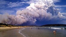 Tasmanijos salą vyraujant didžiulei kaitrai niokoja krūmynų gaisrai