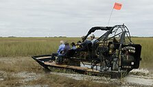 Pitonų medžioklės akimirkos