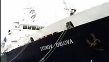 Laivas