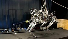 Greičiausiai bėgantis robotas pasaulyje &bdquo;Cheetah&ldquo;