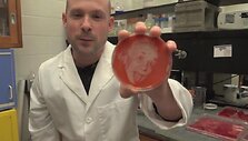 Mikrobiologas Zachary Copferis i&scaron; bakterijų kuria meni&scaron;kas nuotraukas, o &scaron;į meną jis vadina &bdquo;bakteriografija&ldquo;.