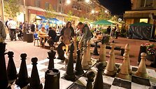 Renginio &bdquo;&Scaron;iaulių naktys&ldquo; akimirka