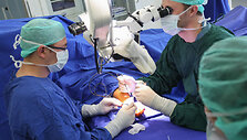 VUL Santari&scaron;kių klinikų Plastinės  ir rekonstrukcinės chirurgijos centras