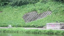 Gėlių gausa Vilnius pasigirti negali