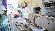 Vilniaus universiteto Biotechnologijos instituto profesoriaus Virginijaus &Scaron;ik&scaron;nio laboratorija