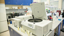 Vilniaus universiteto Biotechnologijos instituto profesoriaus Virginijaus &Scaron;ik&scaron;nio laboratorija