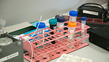 Vilniaus universiteto Biotechnologijos instituto profesoriaus Virginijaus &Scaron;ik&scaron;nio laboratorija