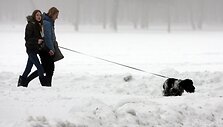 Sostinės Vingio parke aptirpusių sniego senių daugiau nei vaik&scaron;tančių žmonių