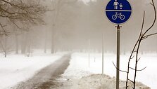 Sostinės Vingio parke aptirpusių sniego senių daugiau nei vaik&scaron;tančių žmonių