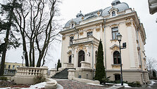 Vilei&scaron;ių rūmai