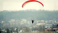 Parasparnis