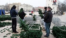 Katedros aik&scaron;tėje stovės dirbtinė eglė