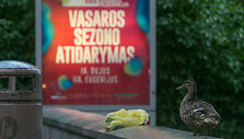 Lietus Palangoje