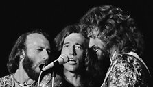 Grupės &bdquo;Bee Gees&ldquo; nariai (i&scaron; kairės) Maurice'as, Robinas ir Barry Gibbai 1979 metais vykusiame koncerte