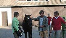Serialas &bdquo;Naisių vasara&ldquo;