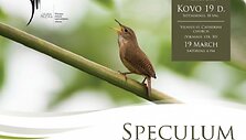 Koncerto plakatas