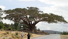 Gyvenimas Etiopijoje