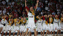 Lietuvos krep&scaron;ininkų triumfas i&scaron;kovojus bronzą 2010 metų pasaulio čempionate